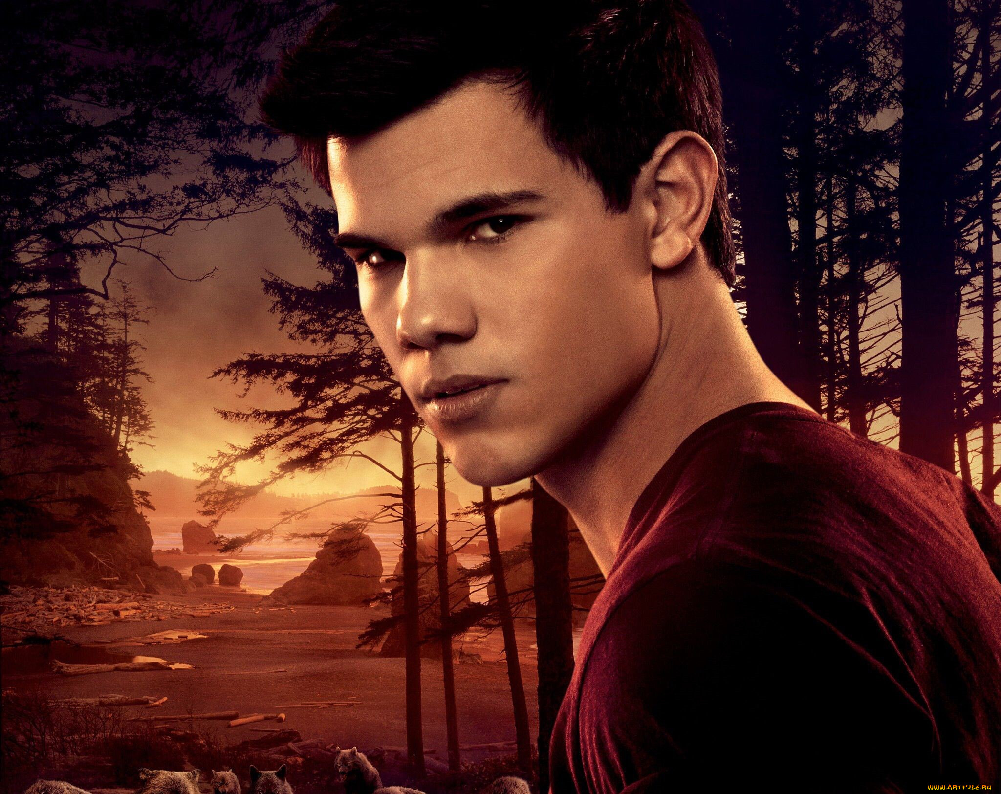  , the twilight saga,  breaking dawn part 1, , , 